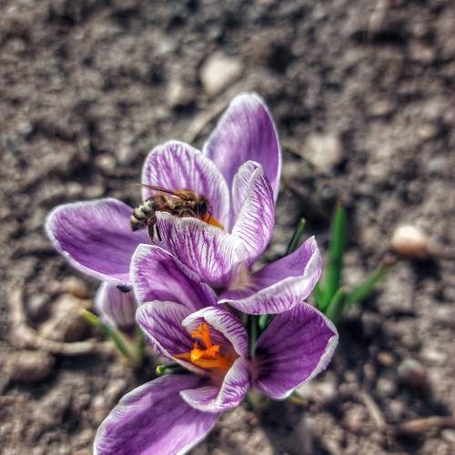 Photo #9439476