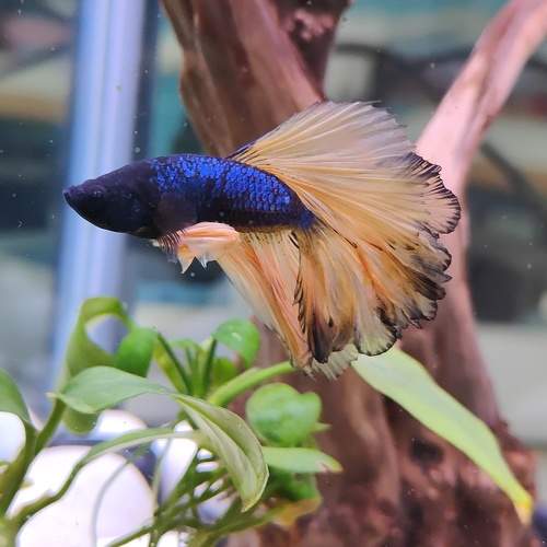 Photo #9439553