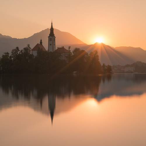 Photo #9439654