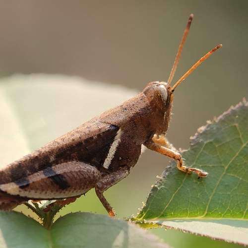 Photo #9439808