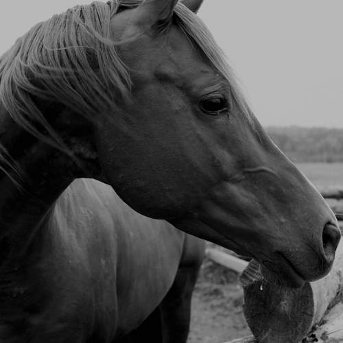 Photo #9440005