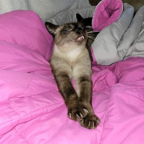 Photo #9440385