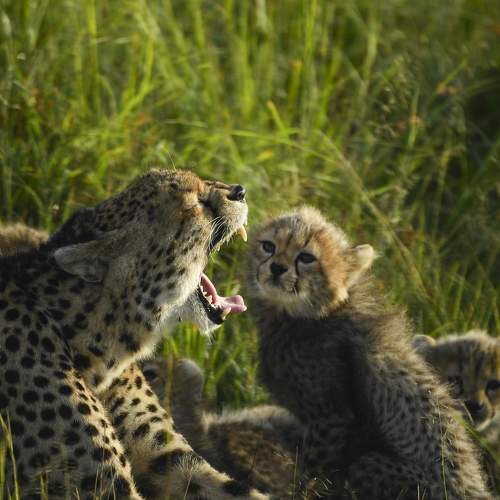 Photo #9440798