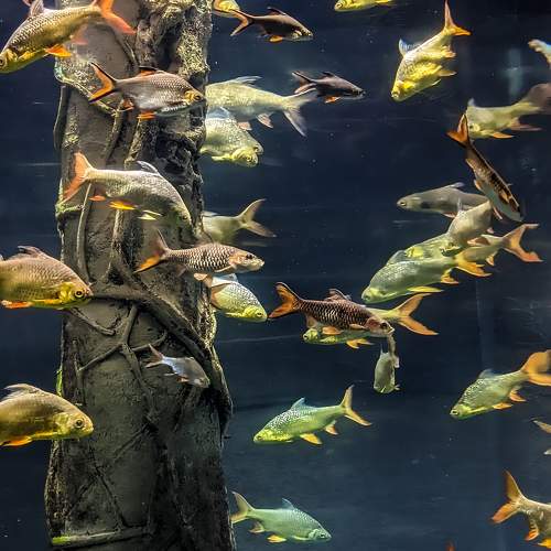 Photo #9440846