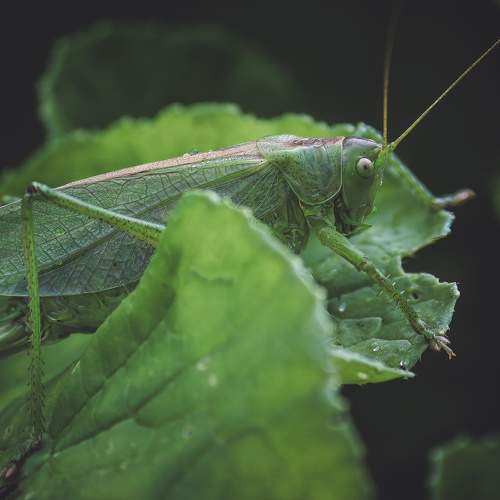 Photo #9440921