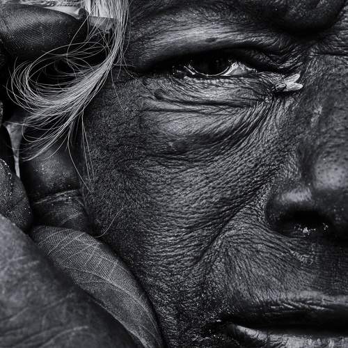 The Gaze