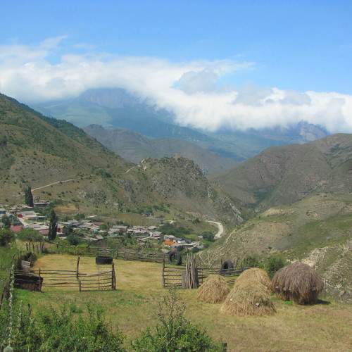 Photo #9441572