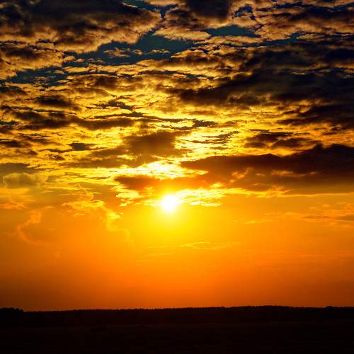 Photo #9441859