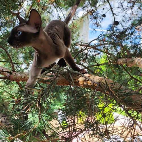 Photo #9442248