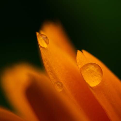 Photo #9443121