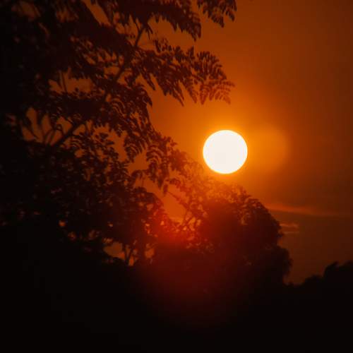 Photo #9443206