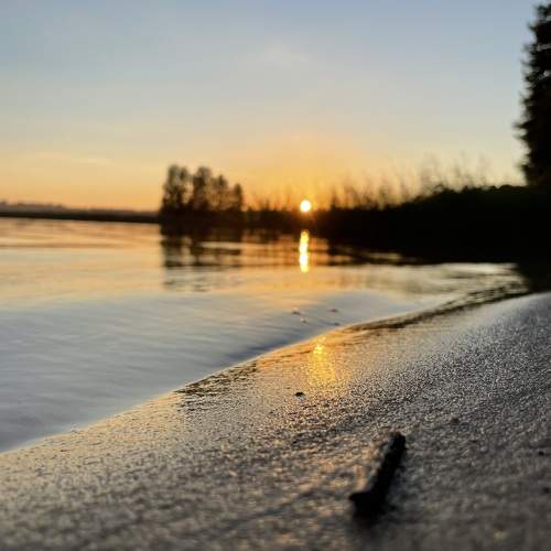 Photo #9443490