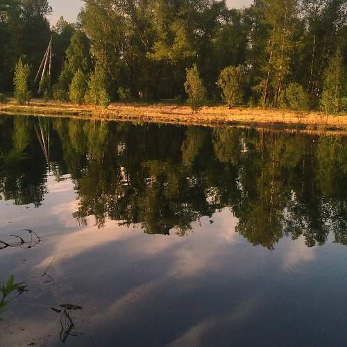 Photo #9443757