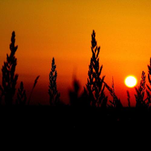 Photo #9443859