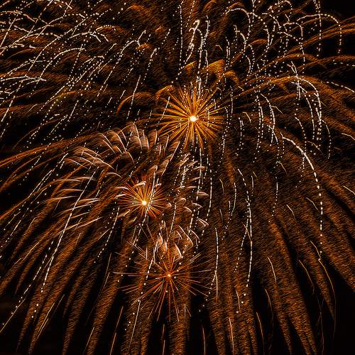 Photo #9443892