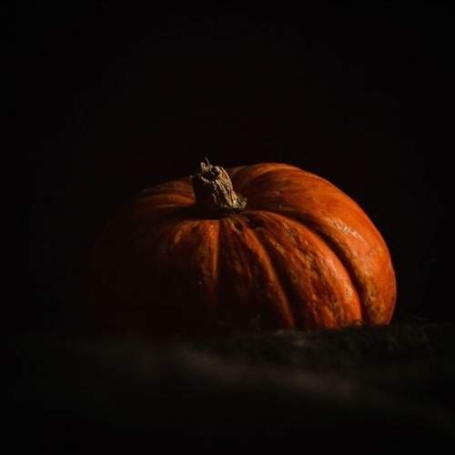 Photo #9445145