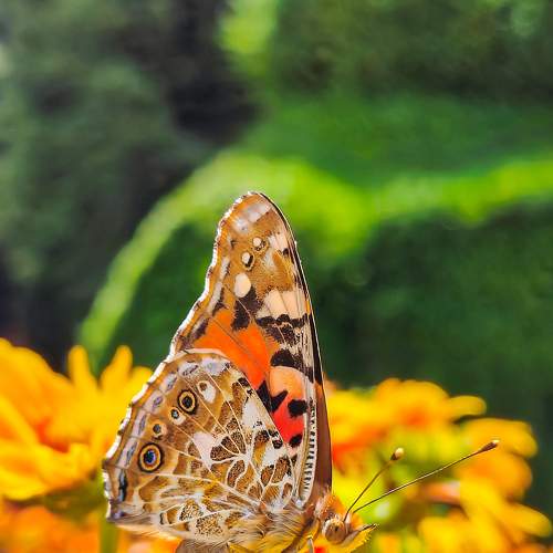 Photo #9445605