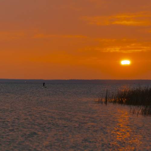 Photo #9445785