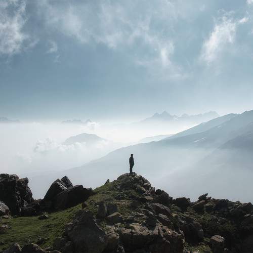 Photo #9445820
