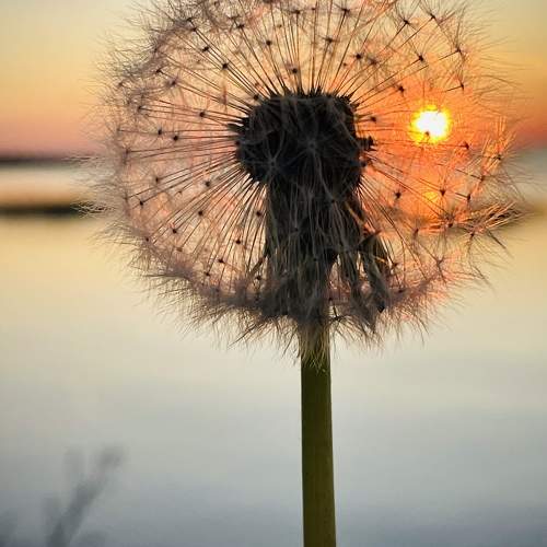 Photo #9446222