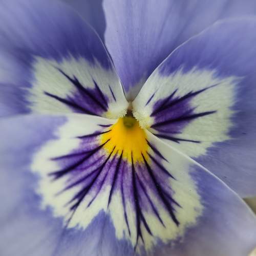 Photo #9446315