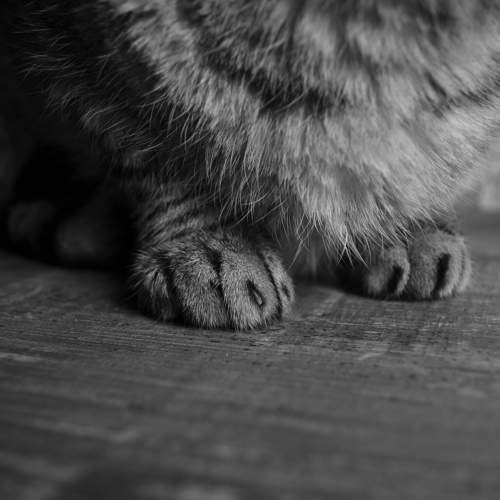 Photo #9446637