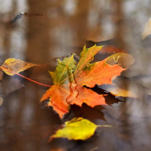Photo #9446745