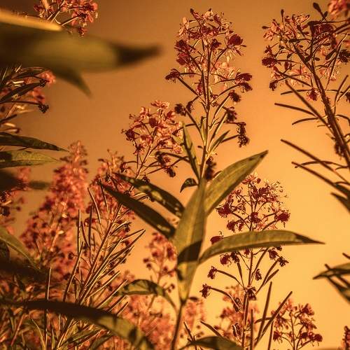 Photo #9446760