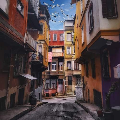 Photo #9446964
