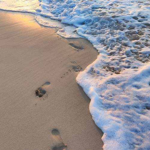 Photo #9447471