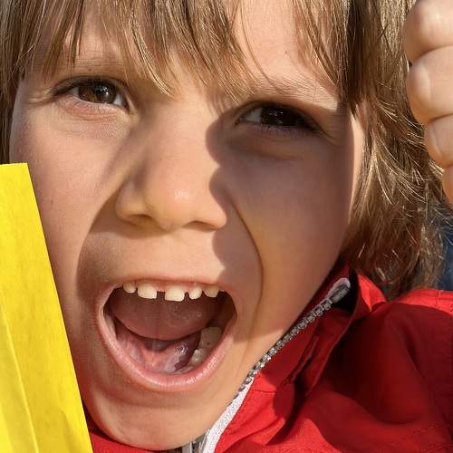 Photo #9447650