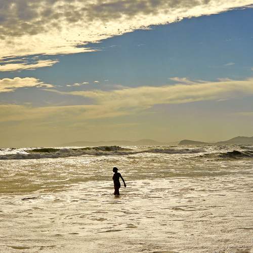 Photo #9447915