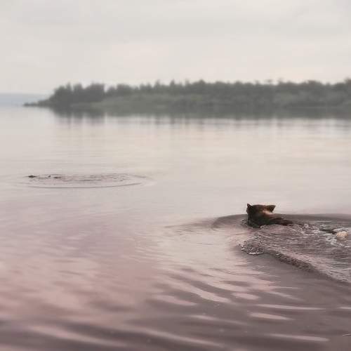 Photo #9447976