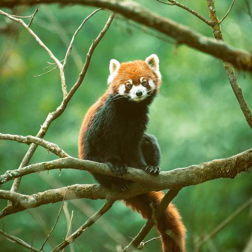 Photo #9448436