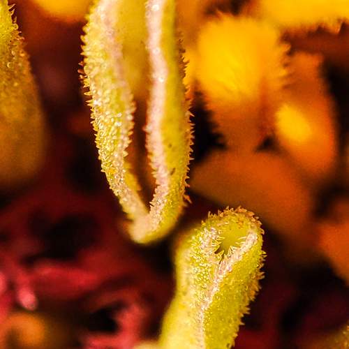 Photo #9448615