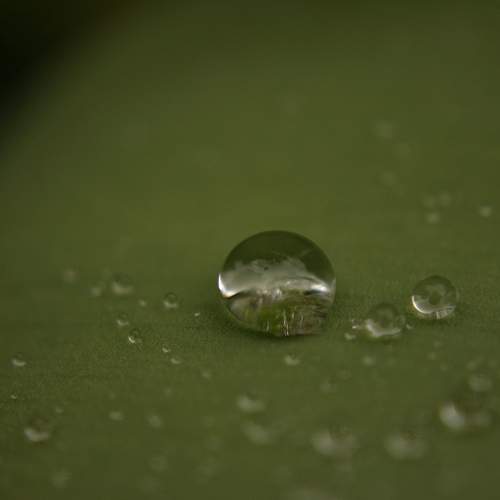 Green Drop