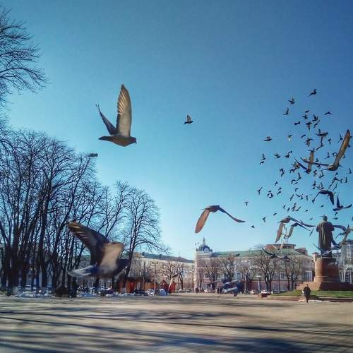 Photo #9449731