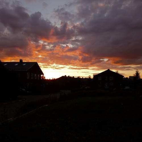 Photo #9450283