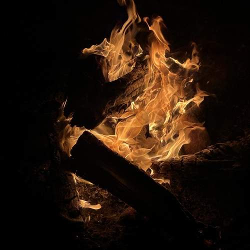 Photo #9450532
