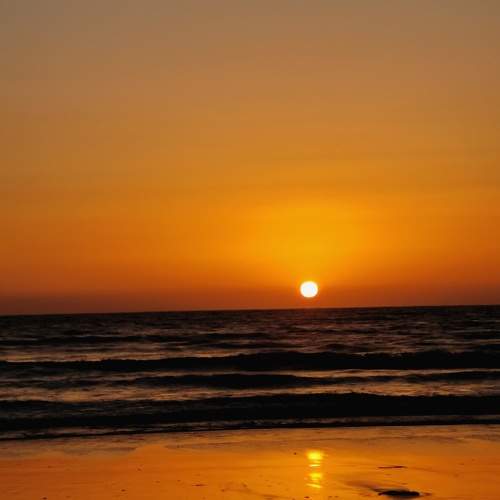 Photo #9450682