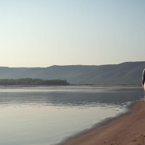 Photo #9450729