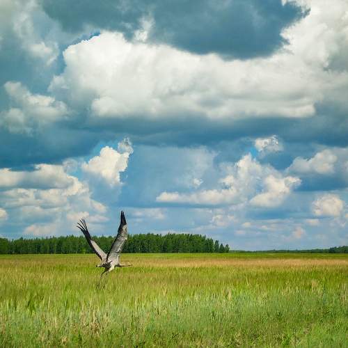 Photo #9450839