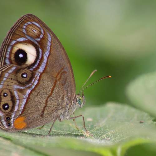 Photo #9450846