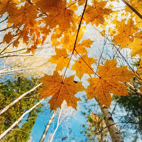Photo #9450924