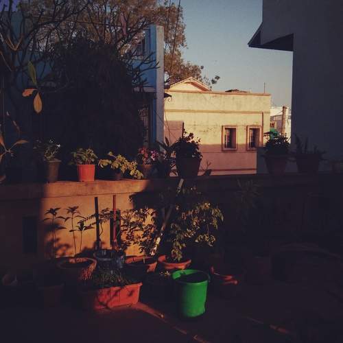 Photo #9450994