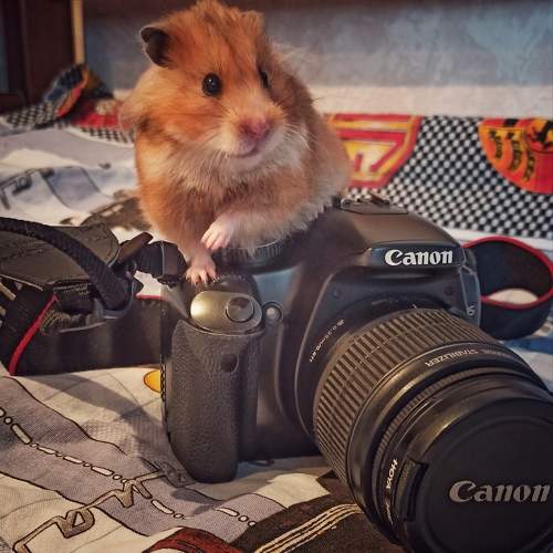 Photo #9451891
