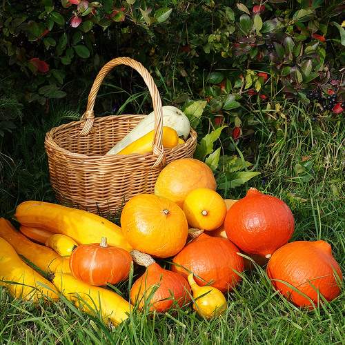 Photo #9452400