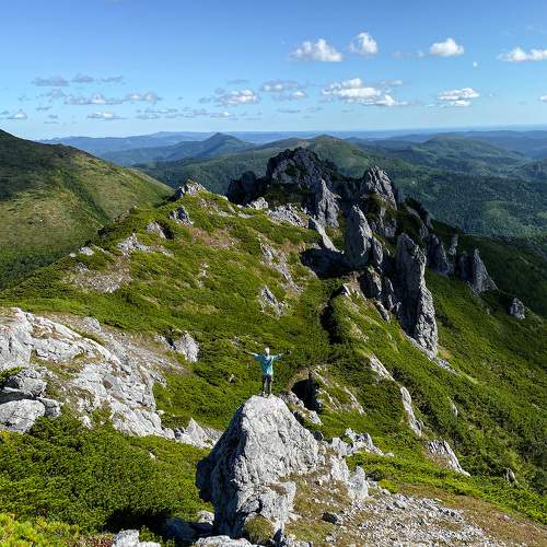 Photo #9452569