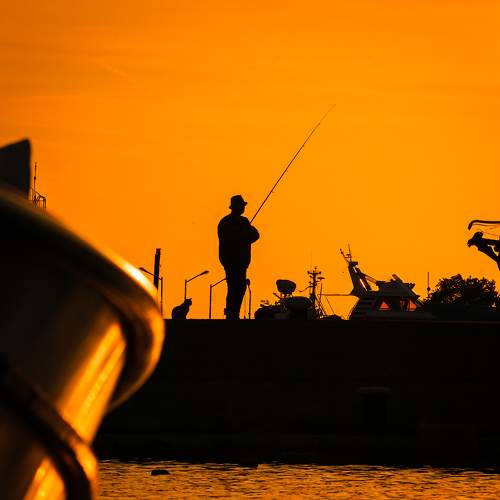 Photo #9453152