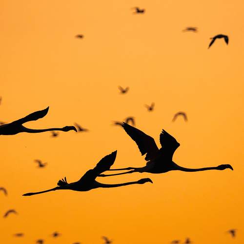 Photo #9453153